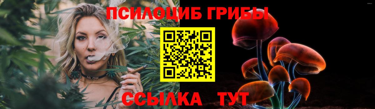 Галлюциногенные грибы мицелий  Псилоцибиновые грибы мицелий  Евпатория  закладка  Вход с VPN 
